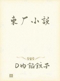 东厂小说