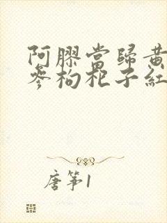 阿胶当归黄芪党参枸杞子红枣煲汤