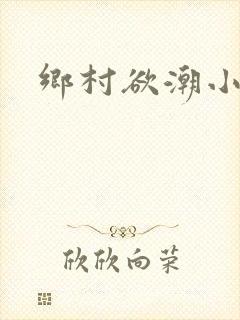 乡村欲潮小说封面