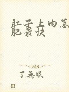 肚子上肉怎么减肥最快封面