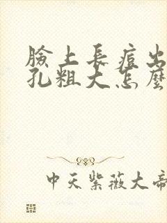 脸上长痘出油毛孔粗大怎么办