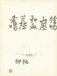 黄芪和山楂泡水喝降血压吗