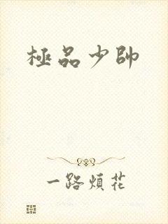 极品少帅