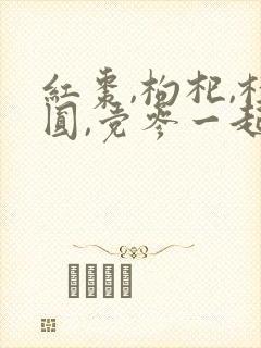 红枣,枸杞,桂圆,党参一起煮的作用