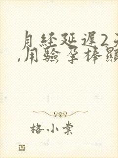 月经延迟2天了,用验孕棒显示没怀孕