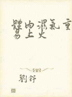 体内湿气重又容易上火封面