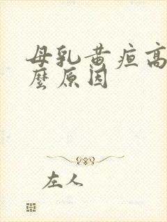 母乳黄疸高是什么原因