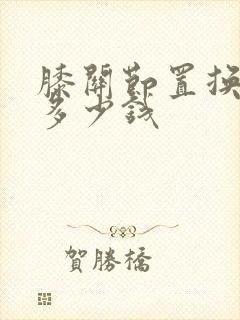 膝关节置换手术多少钱