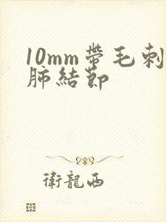 10mm带毛刺肺结节