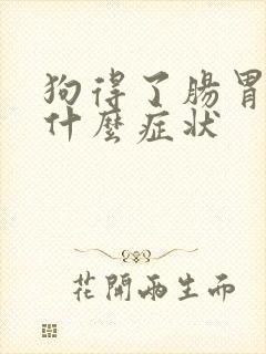 狗得了肠胃炎有什么症状