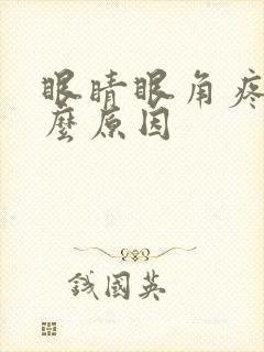 眼睛眼角疼痒什么原因