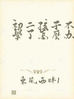 初二孩子不想上学了怎么办封面