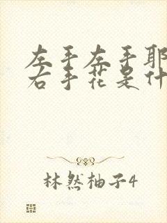 左手左手耶右手右手花是什么歌