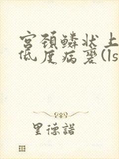 宫颈鳞状上皮内低度病变(lsil)是什么意思