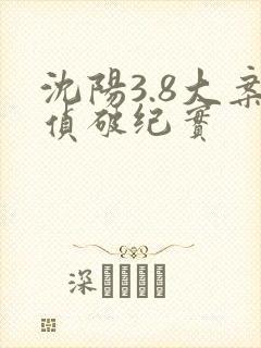 沈阳3.8大案侦破纪实