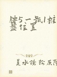 腰5一骶1椎间盘位置
