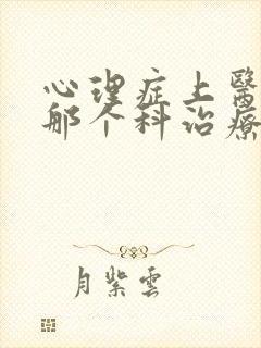心理症上医院的那个科治疗封面
