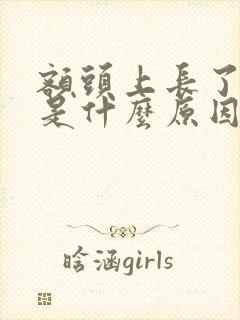 额头上长了痘痘是什么原因