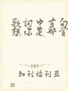 歌词中有句想你想你是哪首歌封面