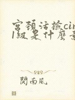 宫颈活检cin1级是什么意思