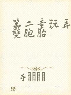 第二章玩弄少妇双胞胎