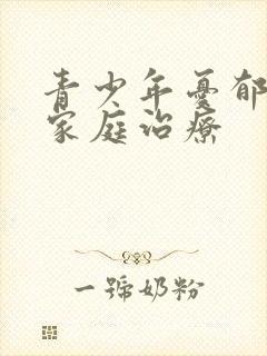 青少年忧郁症的家庭治疗封面