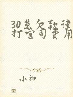 30万欠款律师打官司费用封面