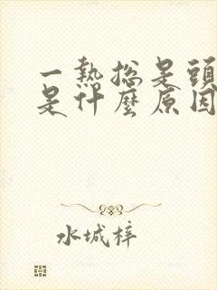 一热总是头出汗是什么原因封面