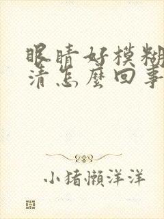 眼睛好模糊看不清怎么回事封面