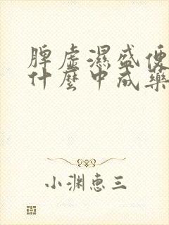 脾虚湿盛便秘吃什么中成药效果最好