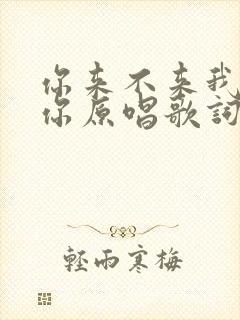 你来不来我都等你原唱歌词