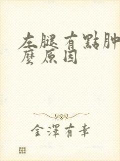 左腿有点肿是什么原因