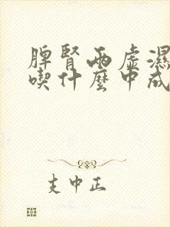 脾肾两虚湿气重吃什么中成药