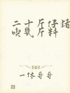 二十斤仔猪一天吃几斤料