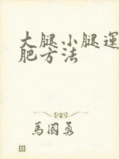大腿小腿运动减肥方法