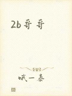 2b哥哥