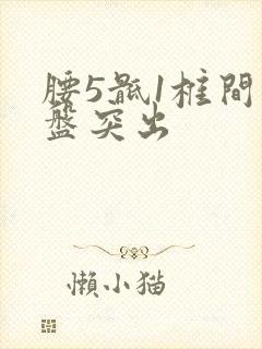 腰5骶1椎间盘盘突出封面