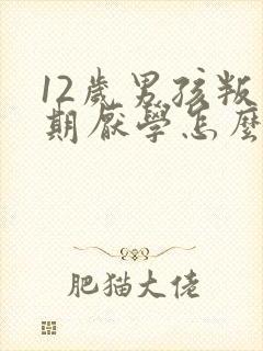 12岁男孩叛逆期厌学怎么办