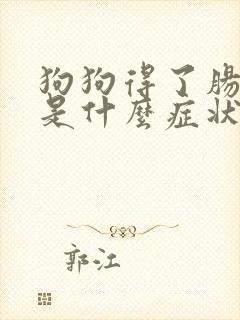 狗狗得了肠胃炎是什么症状表现
