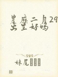 农历二月29日出生好吗