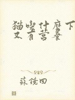 猫吃什么下奶快又有营养