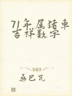 71年属猪车牌吉祥数字封面