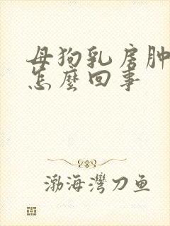 母狗乳房肿胀是怎么回事