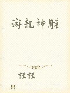游龙神雕封面