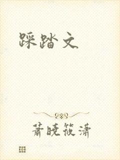 踩踏文封面
