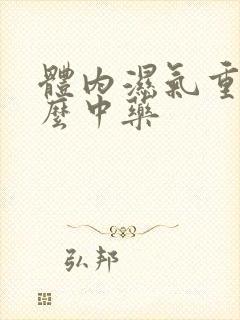 体内湿气重吃什么中药