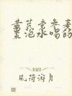 黄芪党参麦冬红枣泡水喝的功效