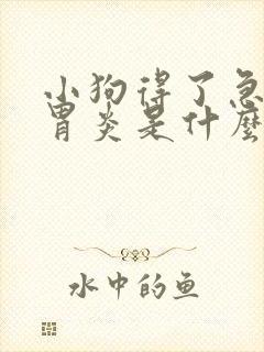 小狗得了急性肠胃炎是什么症状