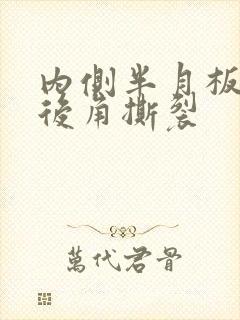 内侧半月板体部后角撕裂封面