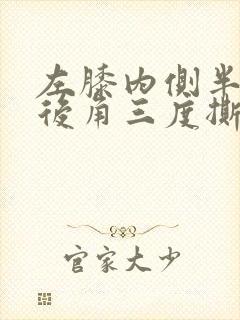 左膝内侧半月板后角三度撕裂